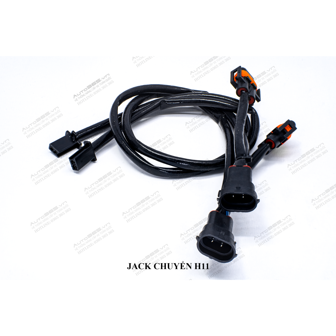 JACK H11 - Hình 1