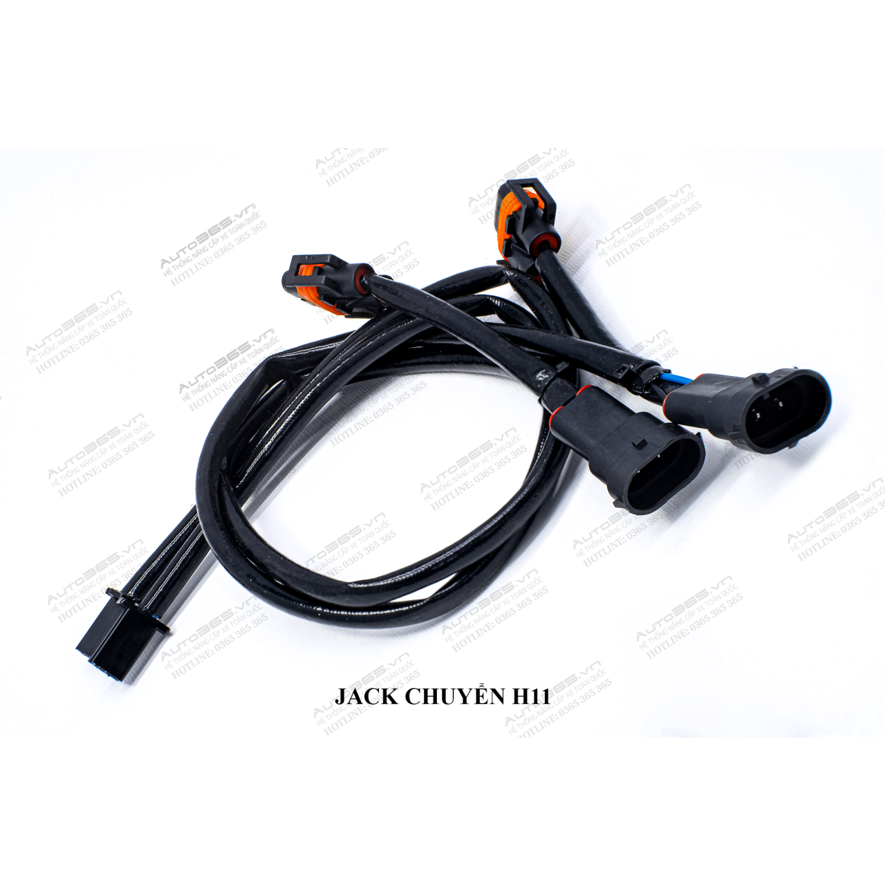 JACK H11 - Hình 2