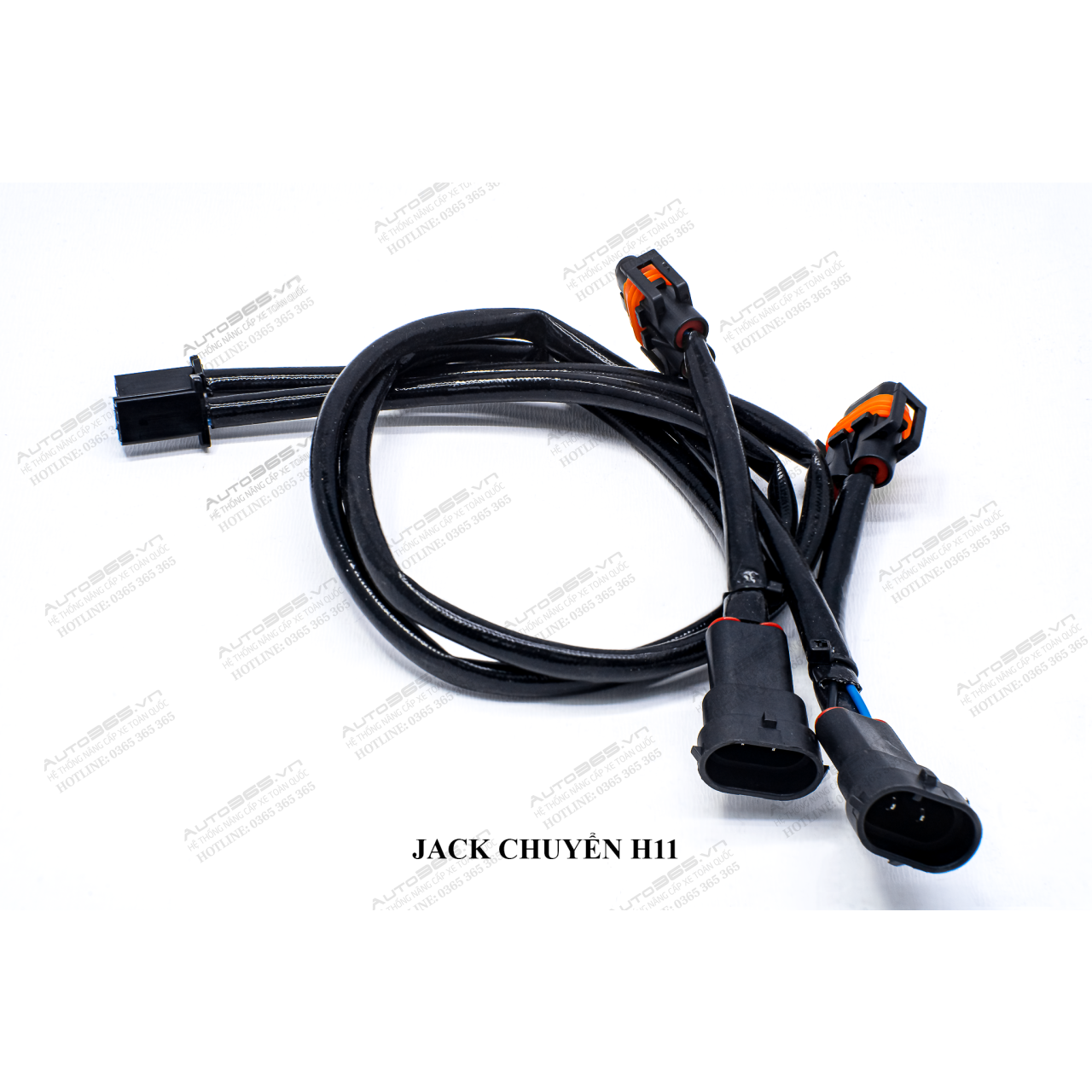 JACK H11 - Hình 3