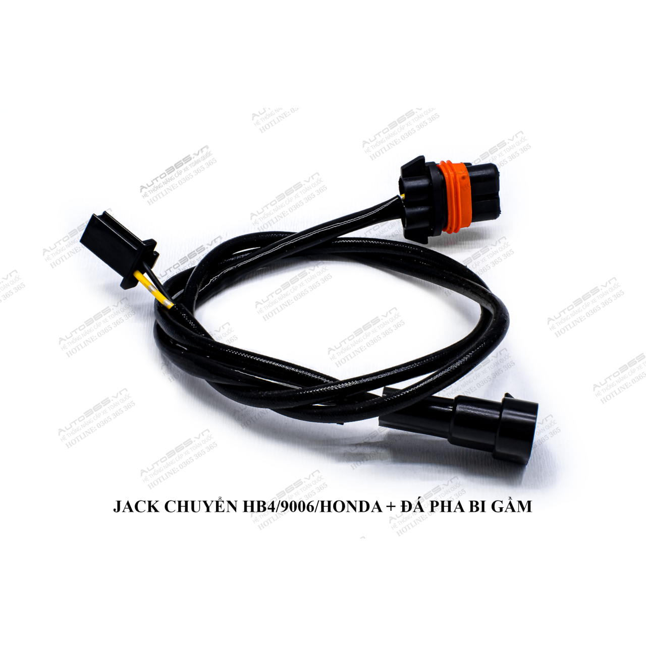 HB4 - 9006 - HONDA VÀ ĐÁ PHA  BI GẦM - Hình 3