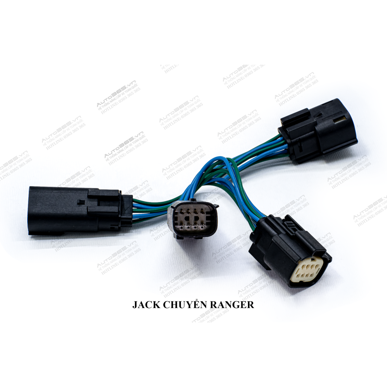 JACK RANGER - Hình 2