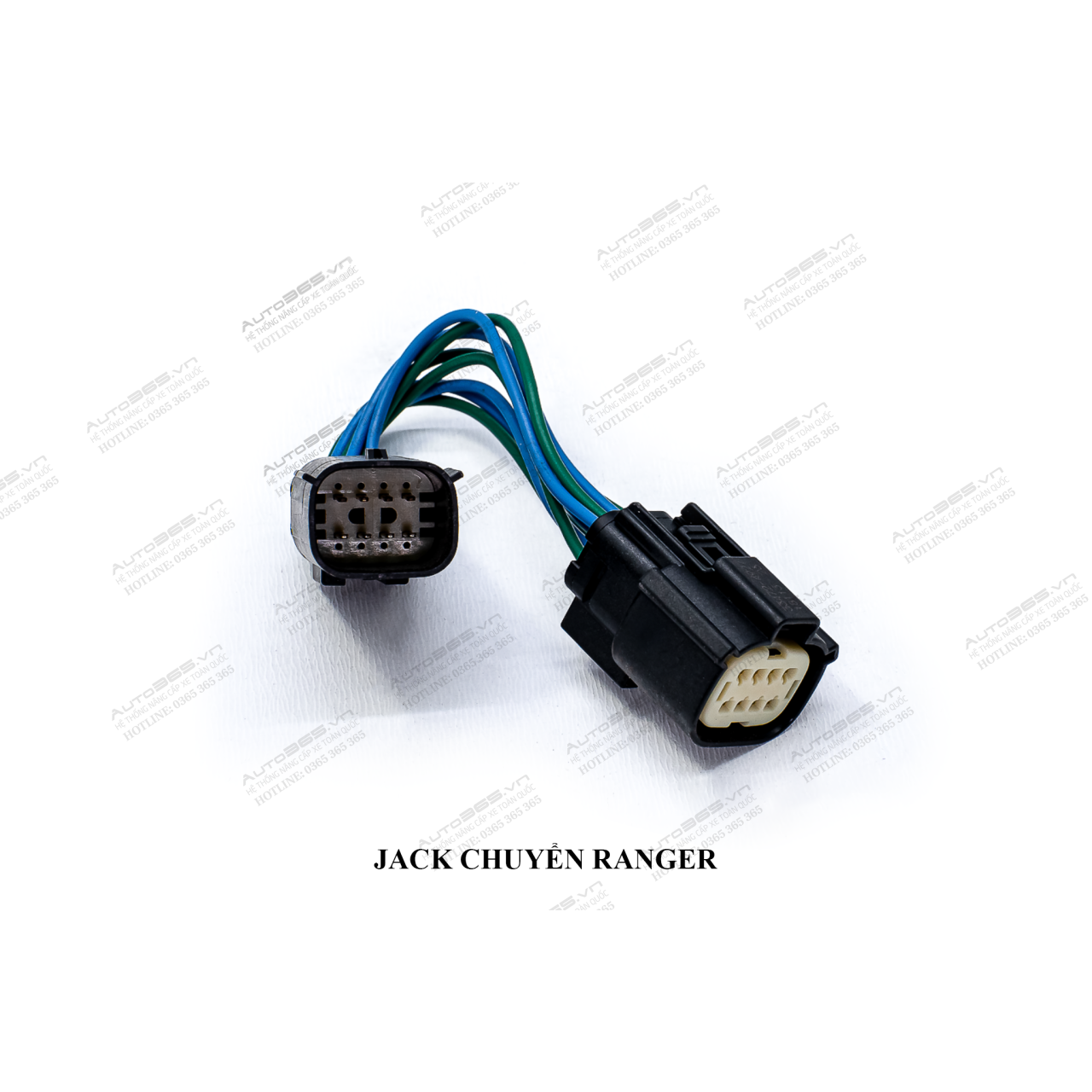JACK RANGER - Hình 3