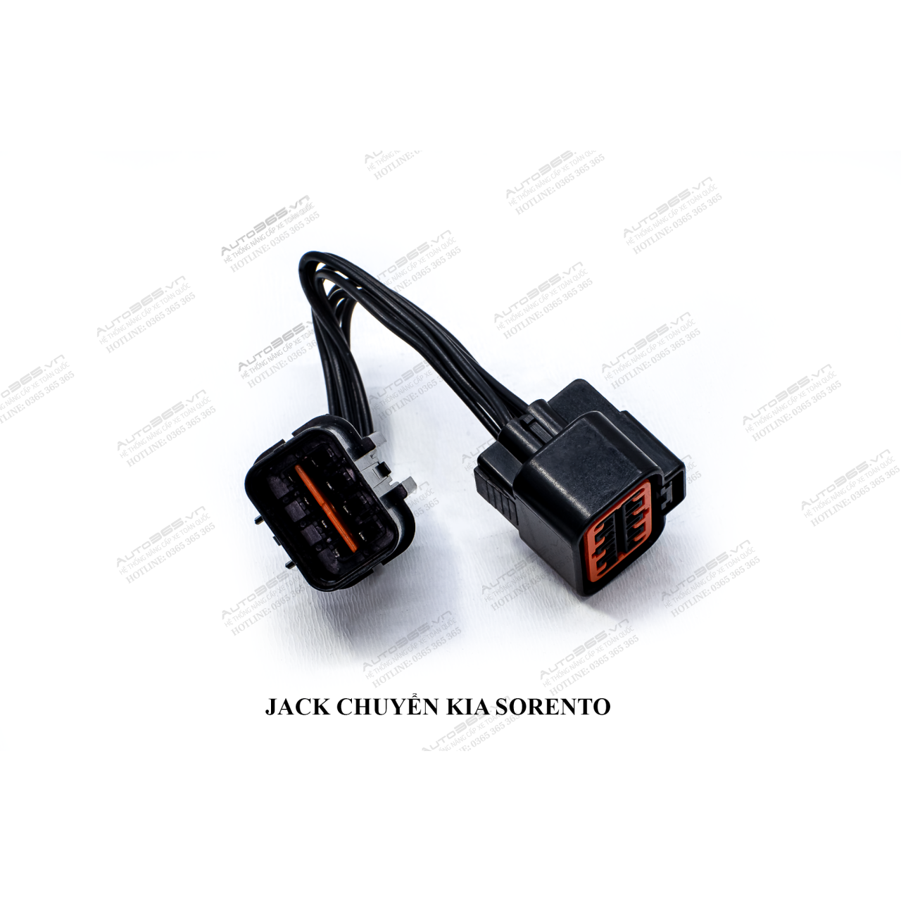 JACK CHUYỂN KIA SORENTO - Hình 3