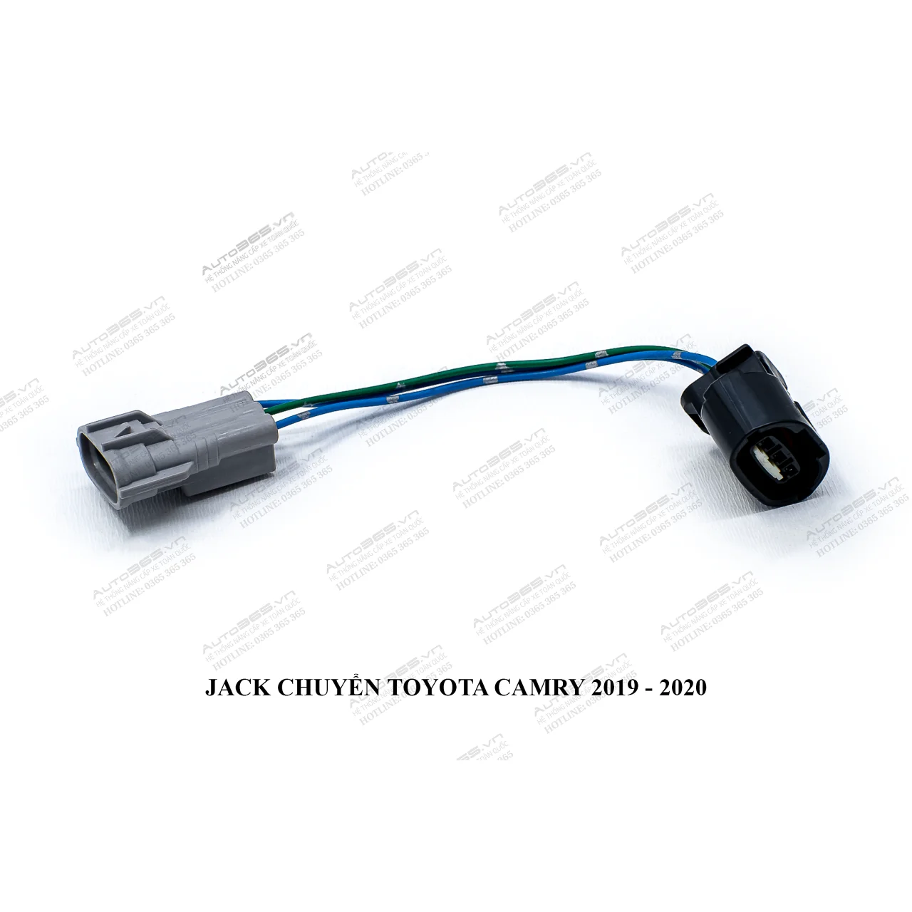 Toyota Camry 2019-2020 - Hình 1