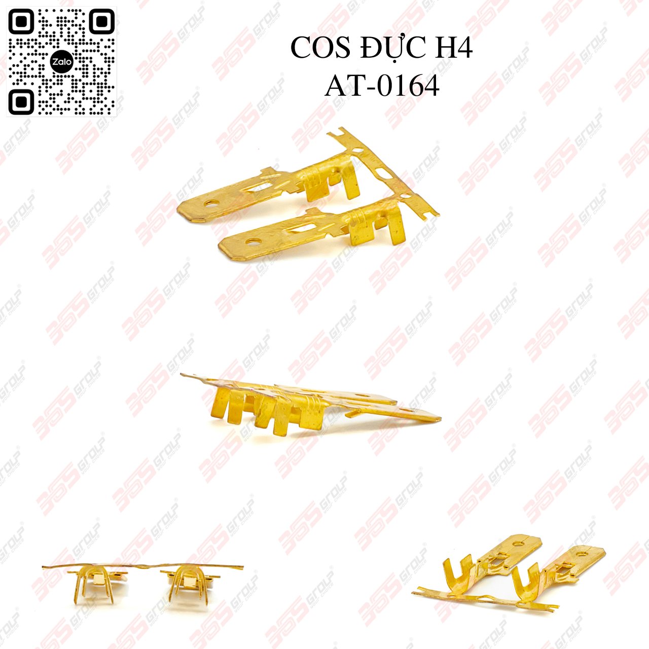 COS ĐỰC H4 - AT-0164 - Hình 1