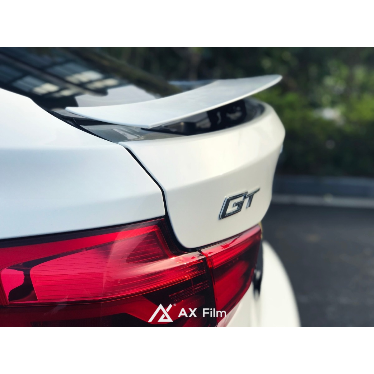 AX PPF GLOSS WHITE - Hình 2
