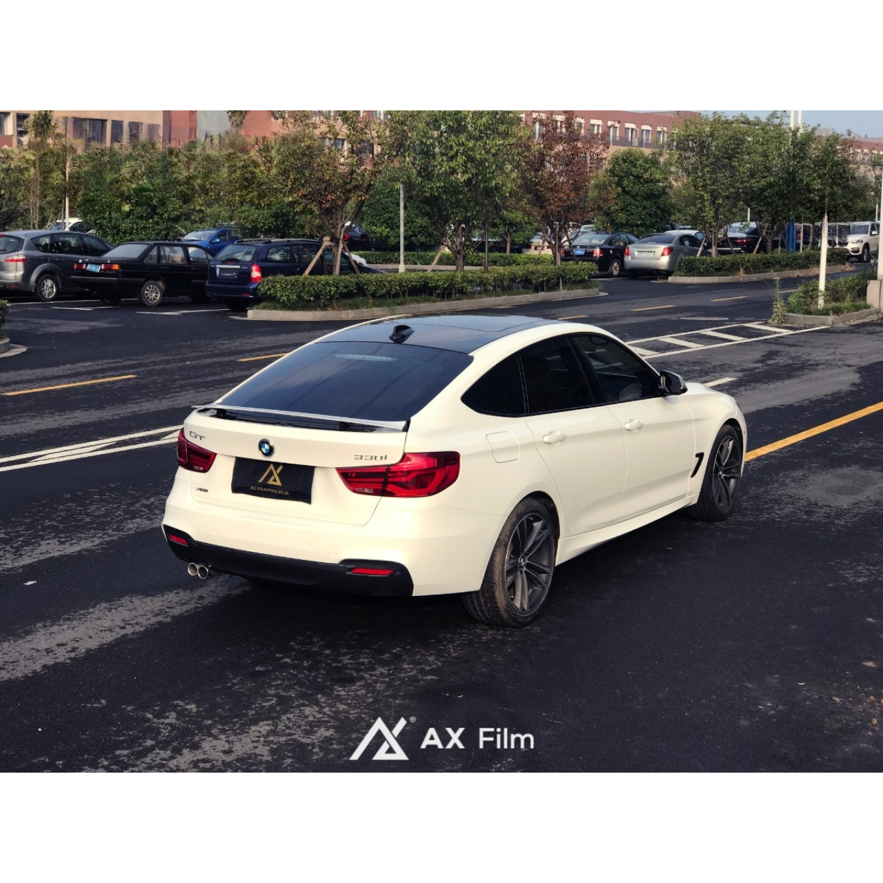 AX PPF GLOSS WHITE - Hình 3