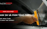 Phim cách nhiệt 3M và phim tặng theo xe: khác nhau ở đâu, có đáng thay không?
