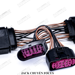 JACK FOCUS - Ảnh nhỏ 2