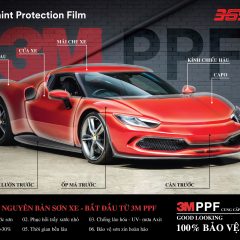 PHIM PPF 3M BẢO VỆ SƠN XE Ô TÔ - Ảnh nhỏ 3