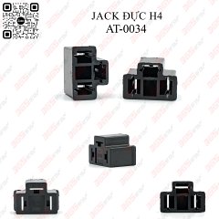 JACK ĐỰC H4 - AT-0034 - Ảnh nhỏ 1