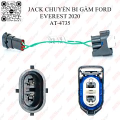 JACK CHUYỂN BI GẦM FORD EVEREST 2020 - Ảnh nhỏ 1