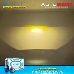 Bi gầm X-Light F10 2.0 New - Ảnh nhỏ 10