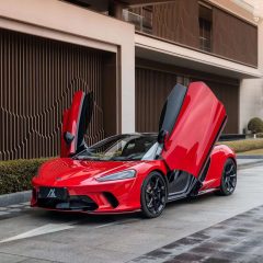 AX WRAP FILM CARMINE RED - Ảnh nhỏ 1