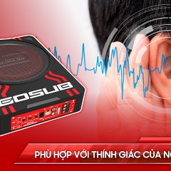 LOA GOSUB 10 CHO XE Ô TÔ - Ảnh nhỏ 5