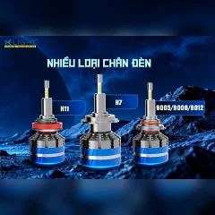 Bóng LED X-Light V12 Hyper 360 - Ảnh nhỏ 5