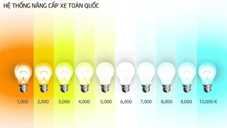 XU HƯỚNG LỰA CHỌN NHIỆT MÀU CHO Ô TÔ