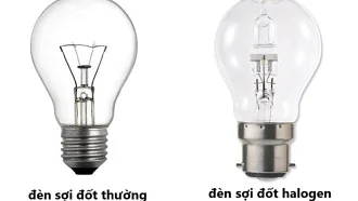 Đèn halogen là gì? Ưu nhược điểm và khi nào nên thay