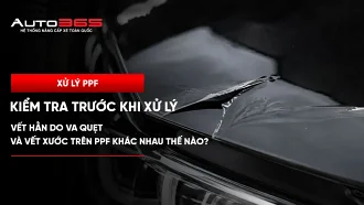 Vết hằn do va quẹt và vết xước trên PPF khác nhau thế nào? Cách kiểm tra trước khi xử lý