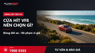 Độ cửa hít VF8 giá bao nhiêu? Nên chọn loại nào, cần kiểm tra gì trước khi lắp?