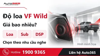 Độ loa VF Wild giá bao nhiêu? Nên chọn loa, sub hay DSP?