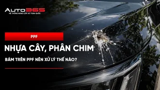 Nhựa cây, phân chim bám trên PPF nên xử lý thế nào?