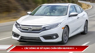 Chân đèn H8/H9/H11: các dòng xe nào sử dụng loại đèn này?