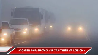 ĐỘ ĐÈN PHÁ SƯƠNG: SỰ CẦN THIẾT VÀ LỢI ÍCH