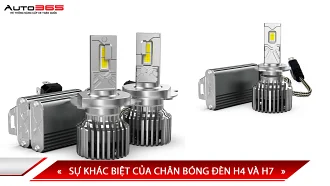 Sự khác biệt của chân bóng đèn H4 và H7