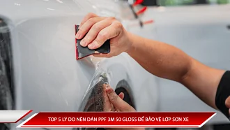 Top 5 lý do nên dán PPF 3M 50 Gloss để bảo vệ lớp sơn xe
