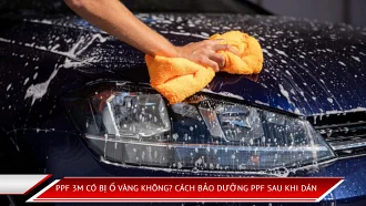 PPF 3M có bị ố vàng không? Cách bảo dưỡng PPF sau khi dán