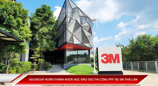 Dao Tao 3m Ppf Viet Nam