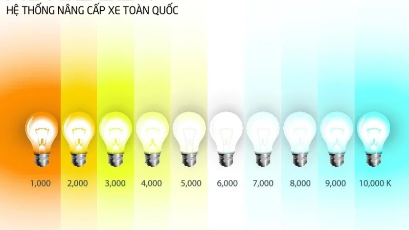 XU HƯỚNG LỰA CHỌN NHIỆT MÀU CHO Ô TÔ
