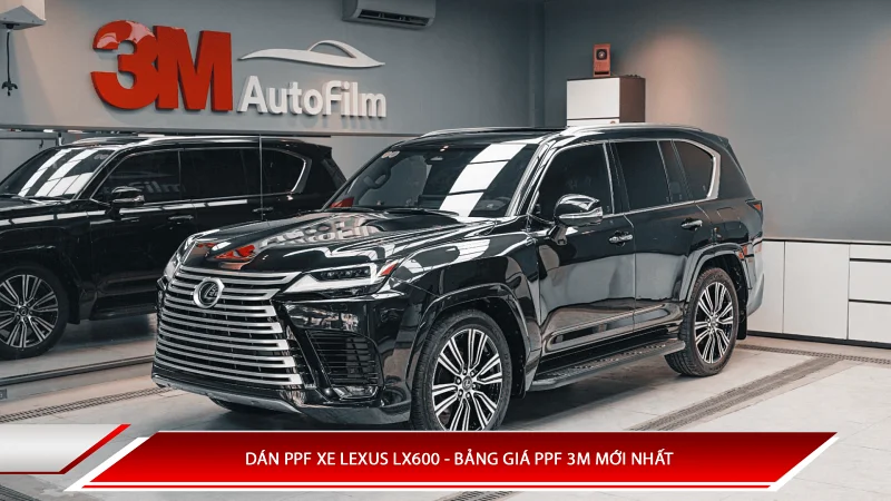 Dán PPF xe Lexus LX600 - Bảng giá PPF 3M mới nhất  