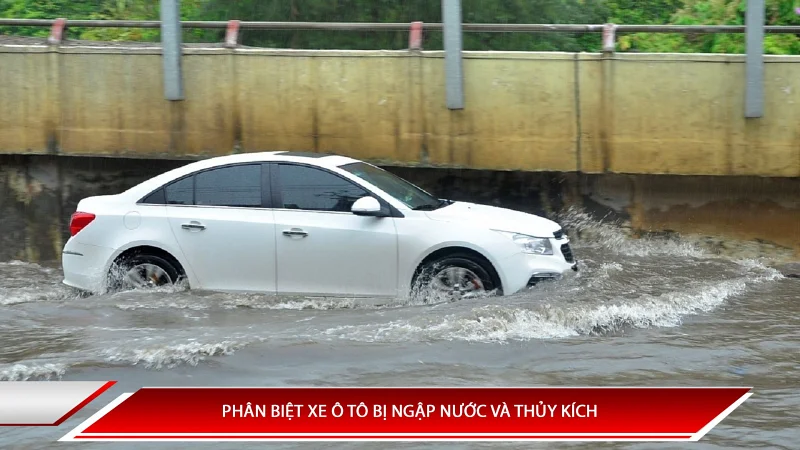 Phân biệt xe ô tô bị ngập nước và thủy kích