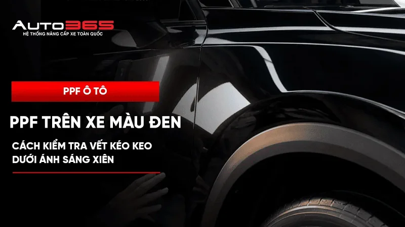 PPF trên xe màu đen: kiểm tra vết nghi kéo keo dưới ánh sáng xiên