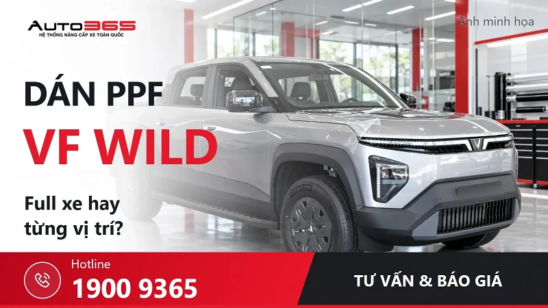 Dán PPF VF Wild giá bao nhiêu? Nên dán full xe hay từng vị trí?