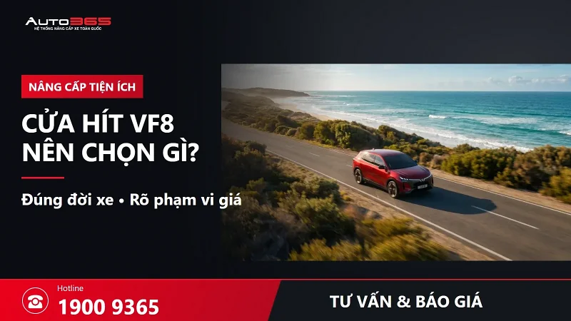 Độ cửa hít VF8 giá bao nhiêu? Nên chọn loại nào, cần kiểm tra gì trước khi lắp?