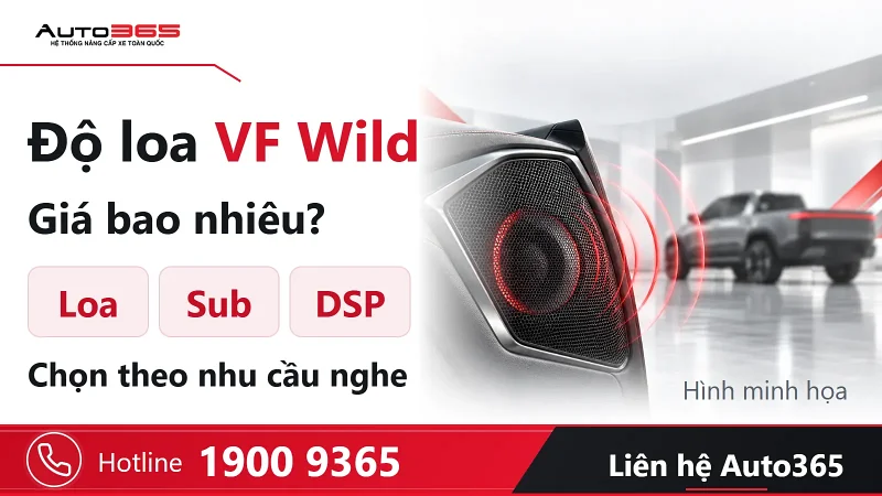 Độ loa VF Wild giá bao nhiêu? Nên chọn loa, sub hay DSP?