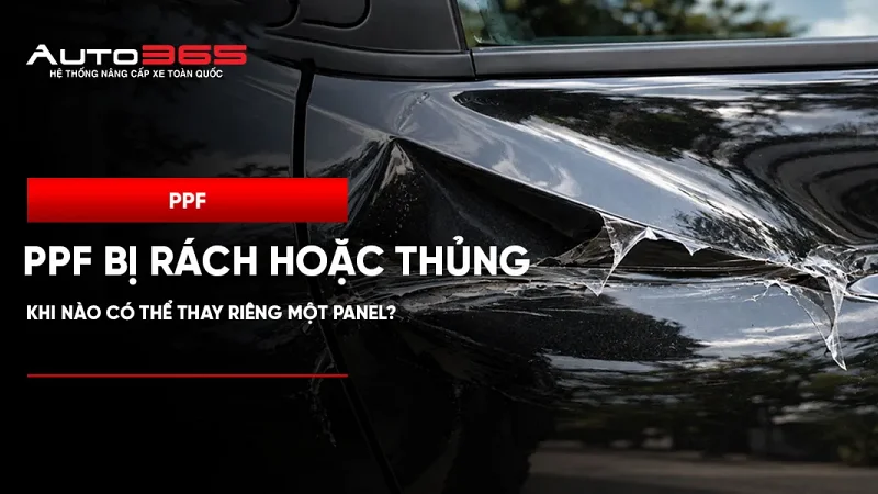 PPF bị rách hoặc thủng: Khi nào có thể thay riêng một panel?