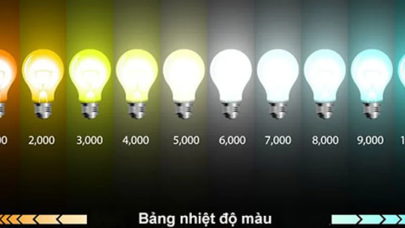 LÀM CHỦ ÁNH SÁNG KHAI PHÁ TẦM NHÌN KHI CHỌN NHIỆT ĐỘ MÀU PHÙ HỢP CHO XẾ CƯNG