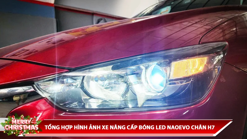 TỔNG HỢP HÌNH ẢNH XE NÂNG CẤP BÓNG LED X-LIGHT CHÂN H7