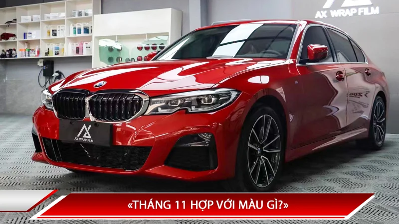 Tháng 11 hợp với màu gì