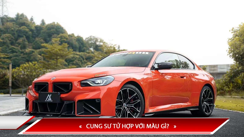 Cung sư tử hợp với màu gì?