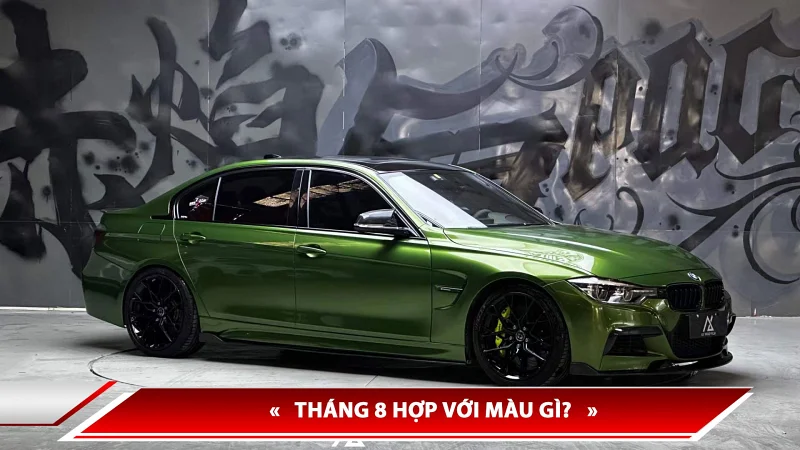 Tháng 8 hợp với màu gì