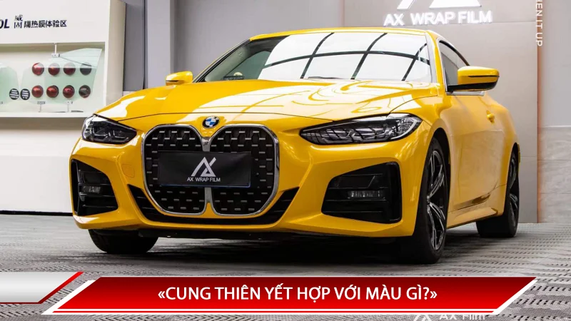 CUNG THIÊN YẾT HỢP VỚI MÀU GÌ? TỔNG QUAN VỀ CUNG THIÊN YẾT