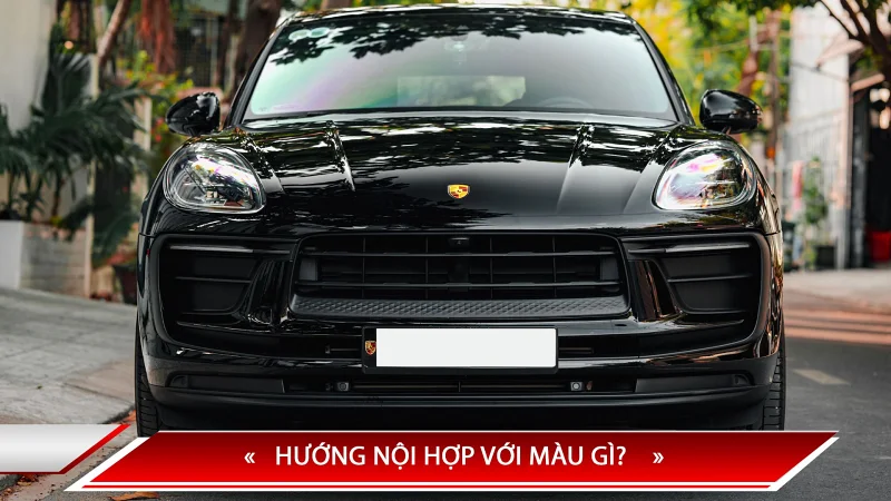HƯỚNG NỘI HỢP VỚI MÀU GÌ? 