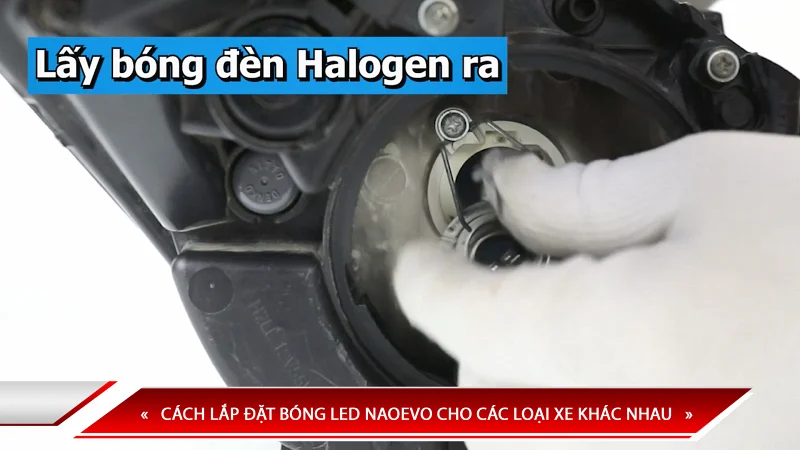 CÁCH LẮP ĐẶT BÓNG LED X-LIGHT CHO CÁC LOẠI XE KHÁC NHAU