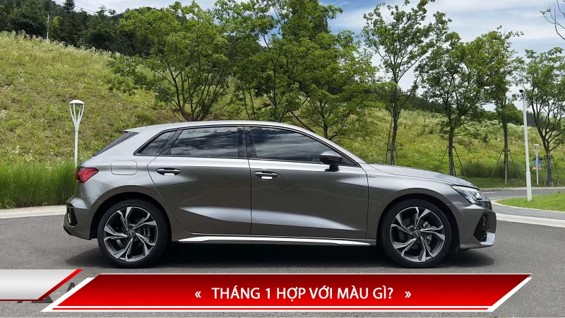 Tháng 1 hợp với màu gì?