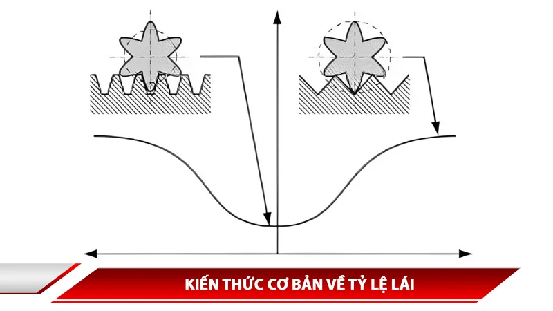 KIẾN THỨC CƠ BẢN VỀ TỶ LỆ LÁI